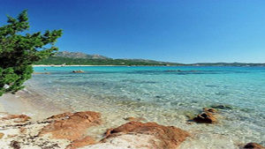 rent-a-car-olbia-sardegna
