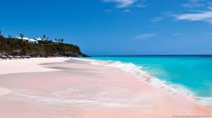 spiaggia rosa 2
