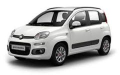 Gruppo B - Fiat Panda